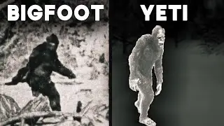 The Bigfoot & Yeti Files: Decades of Encounters and Investigations | Documentary