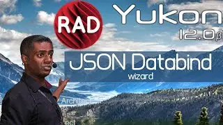 JSON Databind Wizard no RAD Studio 12 - Beta Yukon