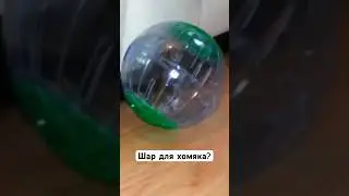 Полное видео на канале