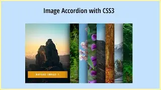 Image Accordion Slider Design In Html & CSS | Pure CSS Accordion Slider | Wpshopmart