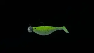Westin ShadTeez underwater