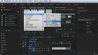 How to Use Hard Limiter#Adobe Premiere Pro Complete Video Editing Masterclass Udemy