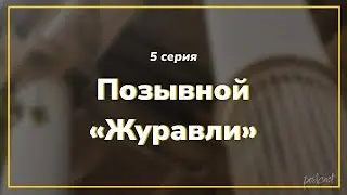 podcast: Позывной «Журавли» | 5 серия - 