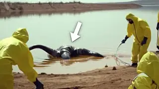 Euphrates River Has Just Been Closed Off & Something Huge Has FINALLY Emerged!