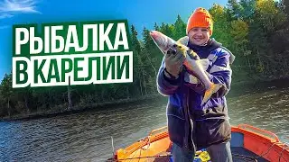У нас УГНАЛИ КАТЕР😱 Рыбалка на Водлозере в Карелии 2023🔥   Без связи на острове. Рыбы полно!