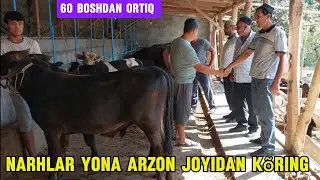 Ona bola sigirlar buqalar ģunajinlar +99850.301.05.06+99893.407.90.19
