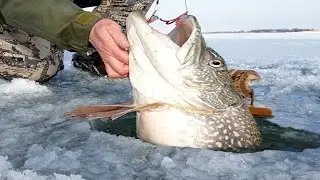 Amazing Net Fishing Catch Big Fish in the ice river - Amazing Ice fishing Skill