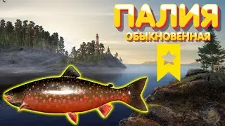 ТРОФ Палия обыкновенная | дабл джиг | оз. Ладожское | Русская Рыбалка 4