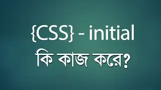 CSS initial কি কাজ করে?