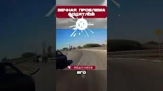 Он ЧУЕТ ИХ за километры 🤣 #shorts