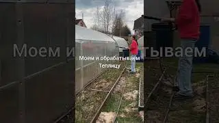 Моем и обрабатываем теплицу 