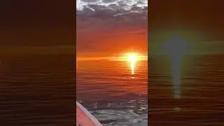 Beautiful Ocean sunset relaxation sounds #Shorts