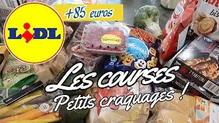 RETOUR DE COURSES LIDL ! Je me fais plaisir !!