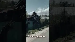 Запах Деревни Когда проезжаешь по такой дороге вспоминаешь детство огород сенокос ностальгия