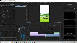 premiere pro black screen after render error solved
