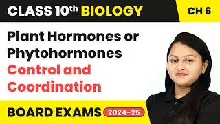 Plant Hormones or Phytohormones - Control & Coordination | Class 10 Biology Chapter 6 | CBSE 2024-25