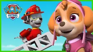 Marshall and Skye Save Adventure Bay and MORE | PAW Patrol Compilation | Cartoons for Kids