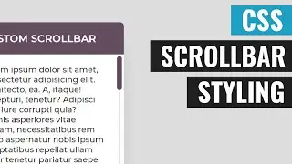 [ HTML | CSS ]  Scrollbar Styling