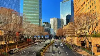 Live Tokyo Walk - A Different Side of Shinjuku