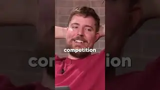 Dear MrBeast