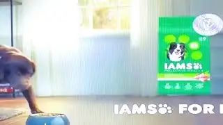 IAMS 🐾 Dog Food - (2022) Commercial !!!