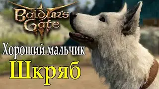 Как получить собаку Шкряба ➤ Спутники в Baldur's Gate 3