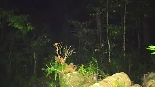 Gairah Membara Kunti Jablay