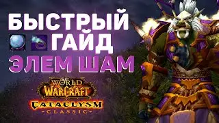 Как играет ЭЛЕМ ШАМАН в Cataclysm Classic?