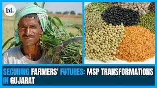 Securing farmers' futures: MSP transformations in Gujarat