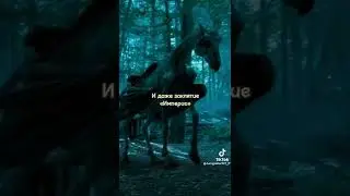 Идеальный автоответчик. Видео из Тик Тока