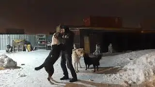 Бугай Алабай. Про телячьи нежности, про Тик Ток и новый телефон, про первую собаку и начало 90х.