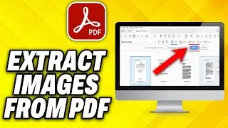 How To Extract Images from PDF (2024)