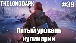 Пятый уровень кулинарии | The Long Dark (Survival mode) #39