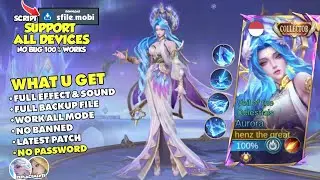 NEW! Script Skin Aurora Collector Veil of the Celestials No Password - Full Effect & Sound With Logo