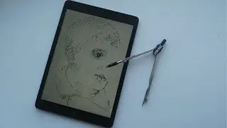 I draw with a compass on an iPad | When an IT worker has nothing to do.