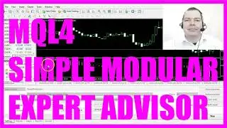 MQL4 TUTORIAL - SIMPLE MODULAR EXPERT ADVISOR