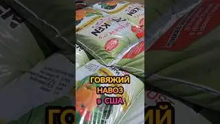 Ну я и тормоз! Говяжий навоз в Америке/ Приколы от Funny 4