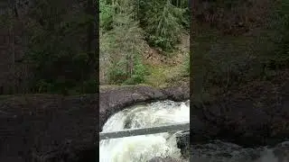 Водопад Кивач. Карелия. 