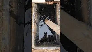 СЮРПРИЗ В УДОБРЕНИИ. САМОЕ КАЧЕСТВЕННОЕ И ПОЛНОЦЕННОЕ УДОБРЕНИЕ В ПРИРОДЕ...