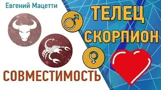 Телец и Скорпион. Гороскоп совместимости ♥ Любовный и сексуальный гороскоп