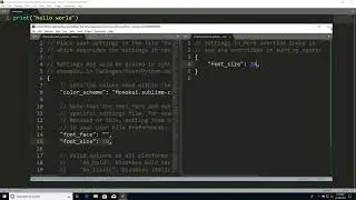 5. Sublime Text (WINDOWS) 