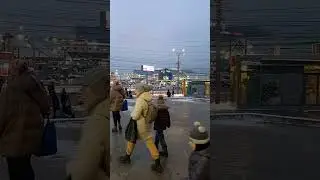 Питер метро Пионерская 