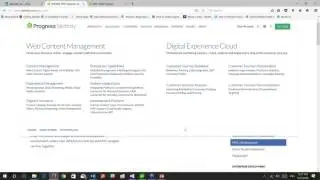 Build Rapid MVC Based Web Applications using Sitefinity