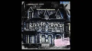 A C I X E x SNAREVOID - KILLER SOUND (SPOTIFY)