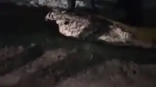 Труп в ковре. Волжский