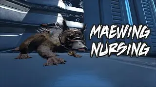 Maewing nursing! | Baby dinos raising | Genesis 2 | ARK Survival Evolved