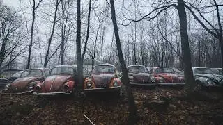 Rare Abandoned Volkswagen Beetle Graveyard in the US!!