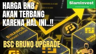 BNB Akan Terbang..!! Bahas Binance Smart Chain Bruno Upgrade BEP-95