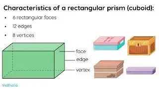 Characteristics of 3D Shapes