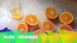 VLOG - ORANGES